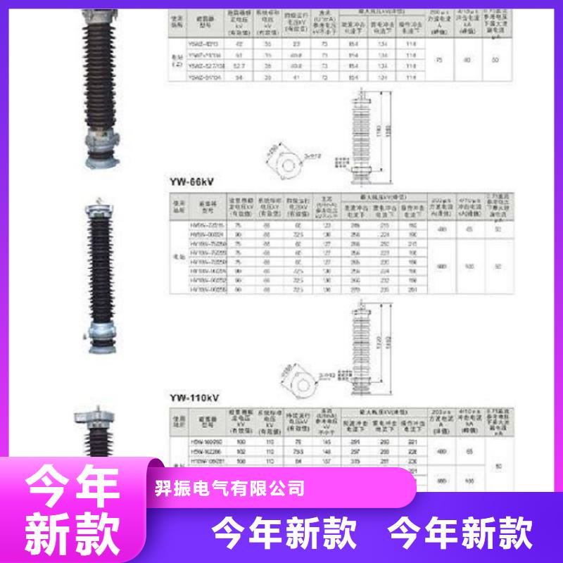 氧化锌避雷器Y10W-216/562了解更多.