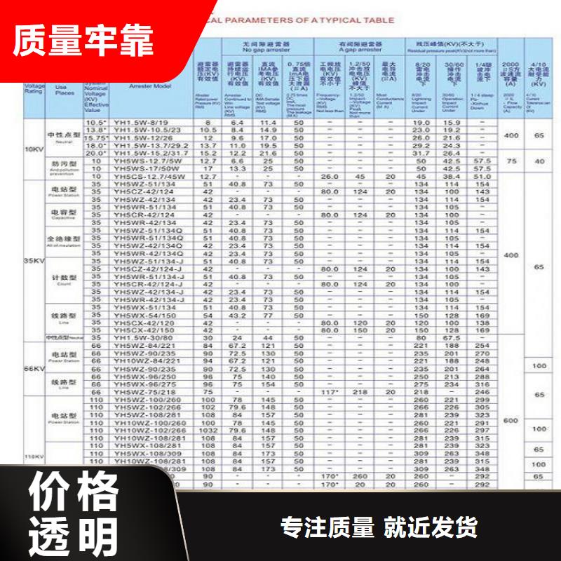 避雷器Y10W5-51/134【羿振电气】