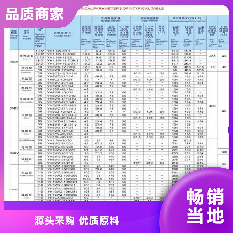 避雷器YH10W-96/250浙江羿振电气有限公司