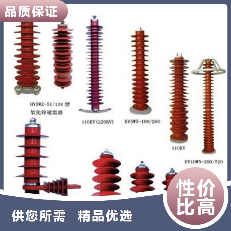 避雷器YH10W-96/250浙江羿振电气有限公司