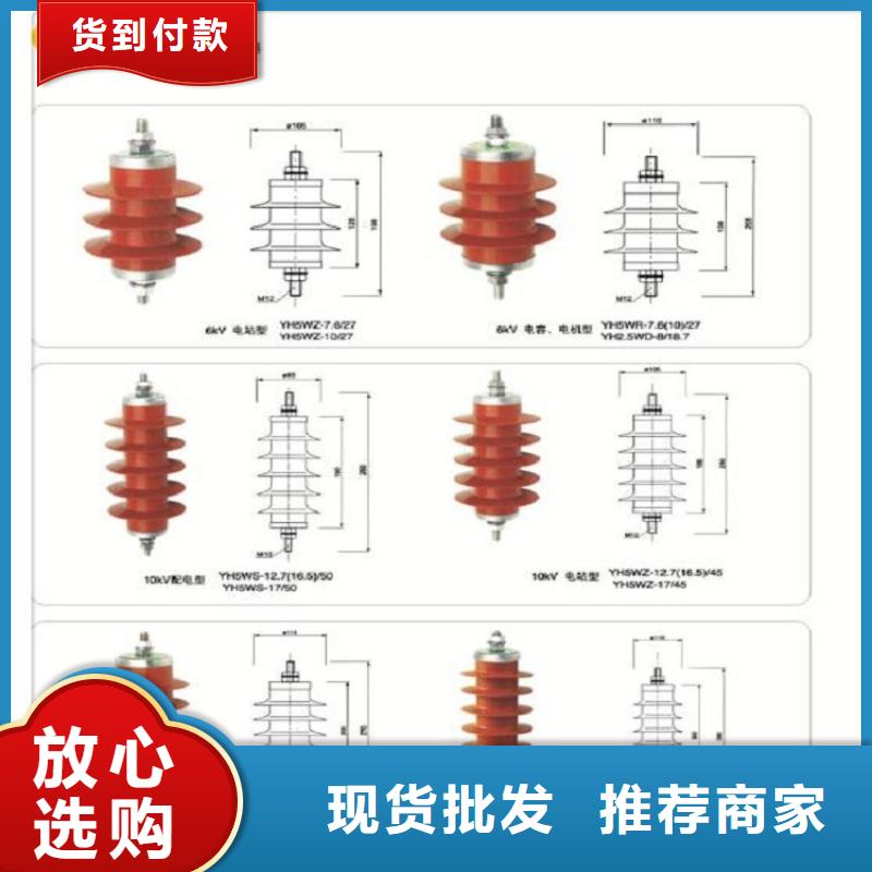 避雷器Y10W1-100/260【羿振电气】