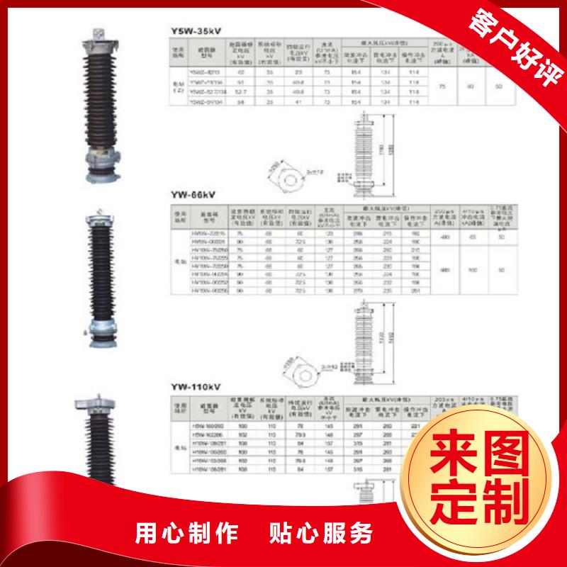 【浙江省温州市乐清市柳市镇】氧化锌避雷器Y10W-200/496生产厂家