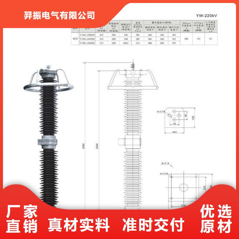 避雷器/YH10WR5-48/125氧化锌避雷器/YH5WS1-52.7/134