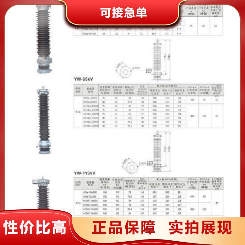 避雷器Y10W5-51/134【羿振电气】