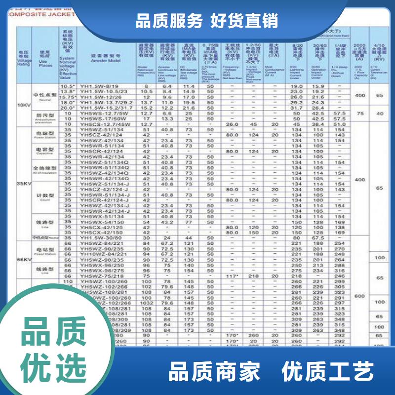 避雷器YH5WX5-100/260【羿振电气】