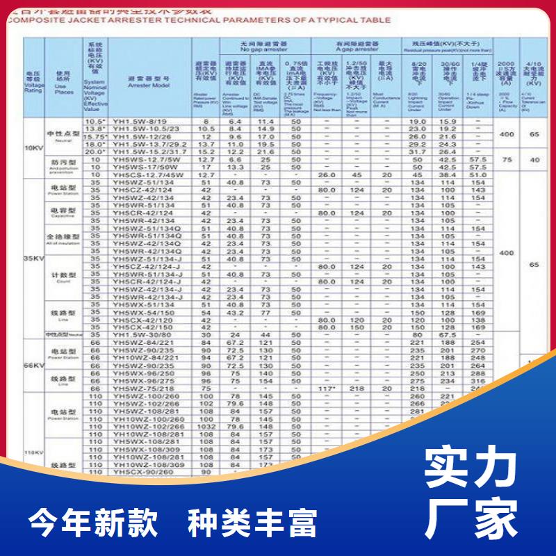 氧化锌避雷器Y1W-55/132