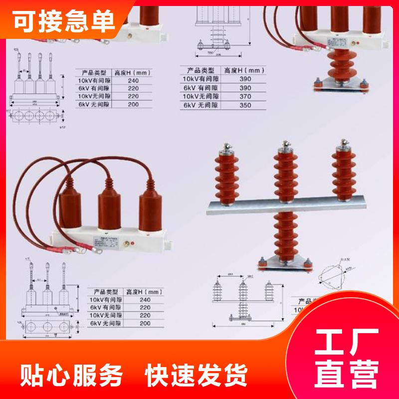 保护器(组合式避雷器)RSB-A/F-35