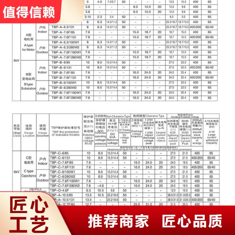 【组合式过电压保护器】TBP-C-7.6F/131-J