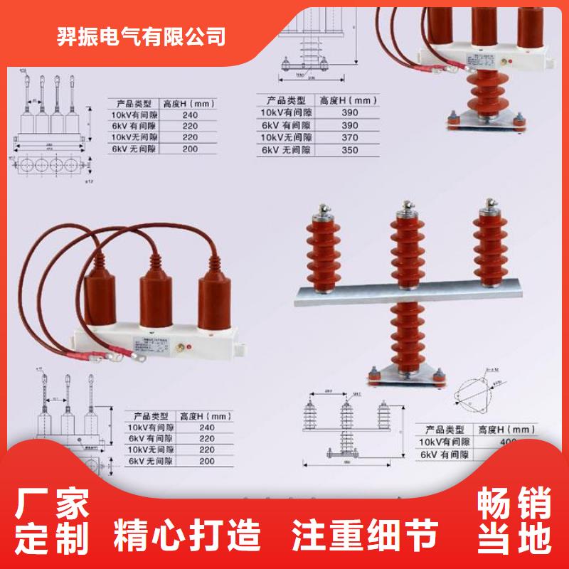 【羿振电力牌】过电压保护器TBP-A-10.5/85-J