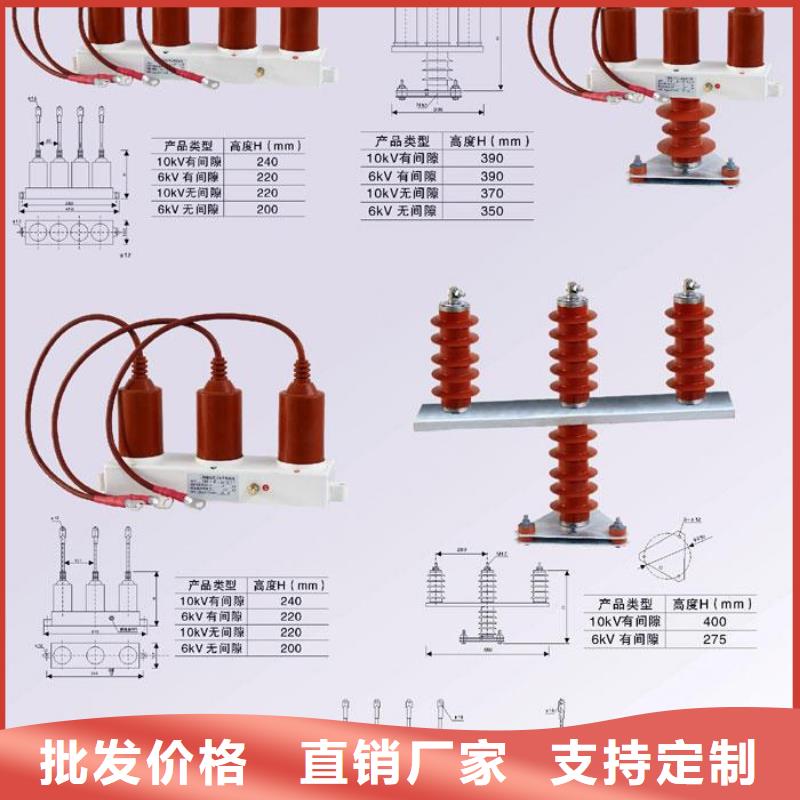 过电压保护器(组合式避雷器)HY5WR-17/45*2