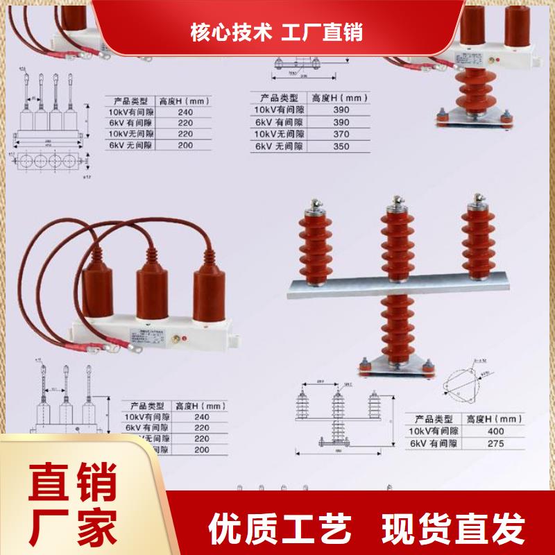 五指山市＿过电压保护器(组合式避雷器)YH5CZ-3/9.8*2