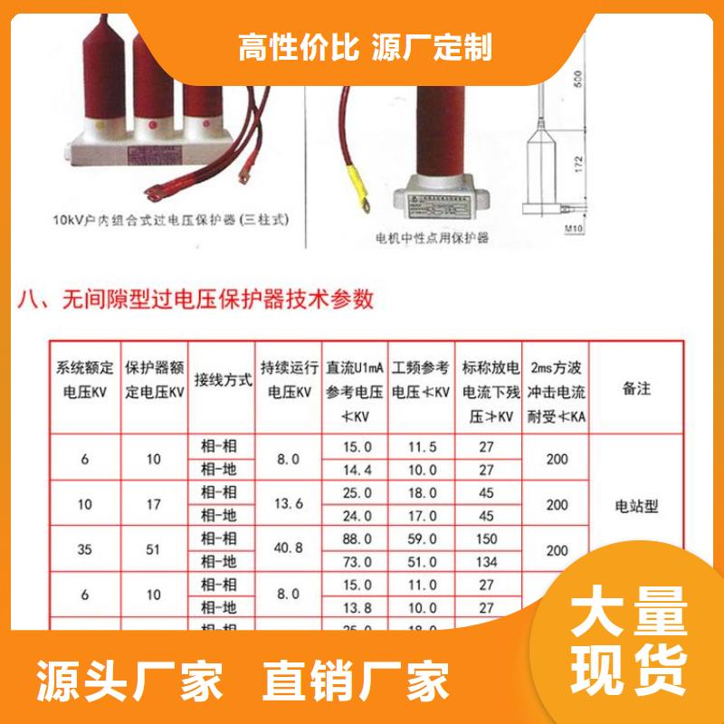 过电压保护器(组合式避雷器)TBP-C-12.7F/100W1