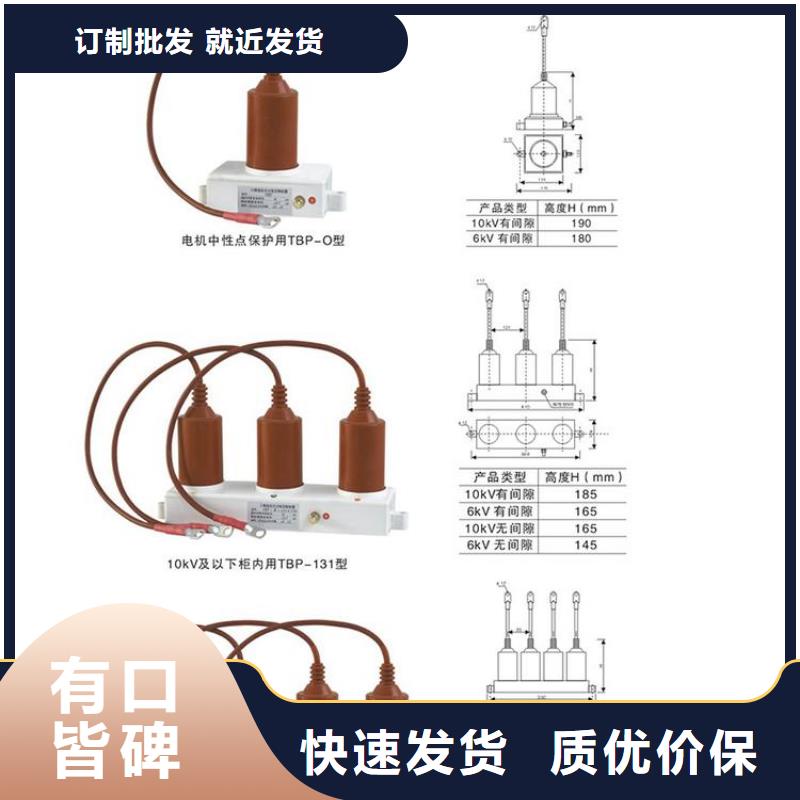 过电压保护器TBP-A-7.6/100W1