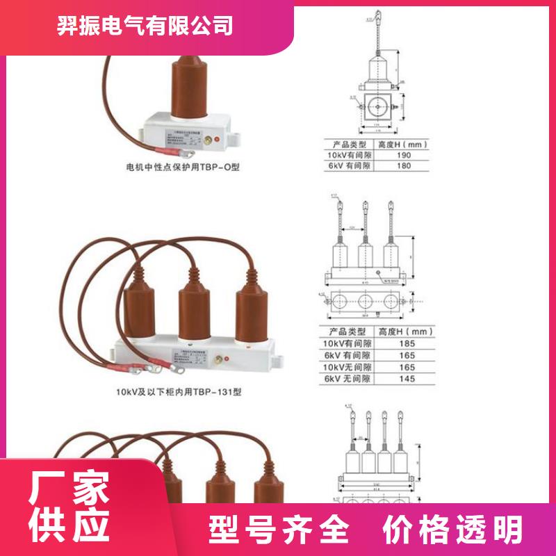 YH5WD-13.5/38.7*13.5/31.0【过电压保护器】