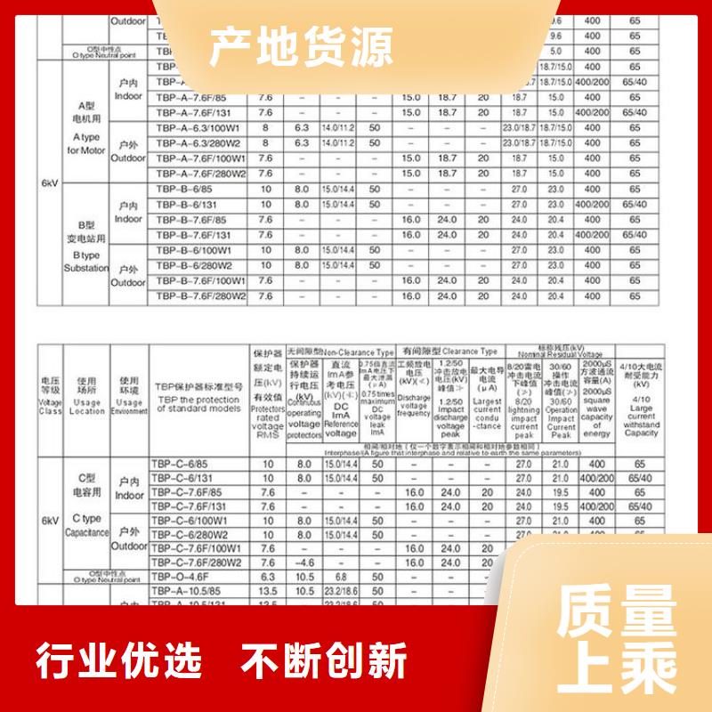 〖过电压保护器〗TBP-B-12.7F/131N-J制造厂家