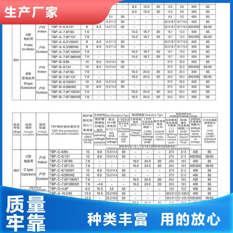 〖过电压保护器〗BSTG-C-42F/310价格实惠