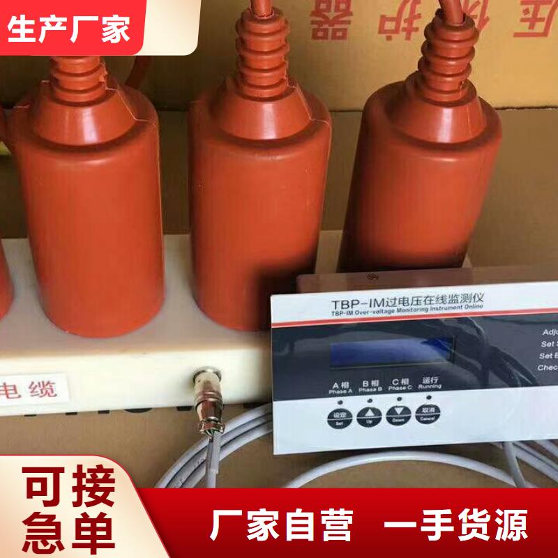 ＿过电压保护器(组合式避雷器)HTB-R-35KV/300-J