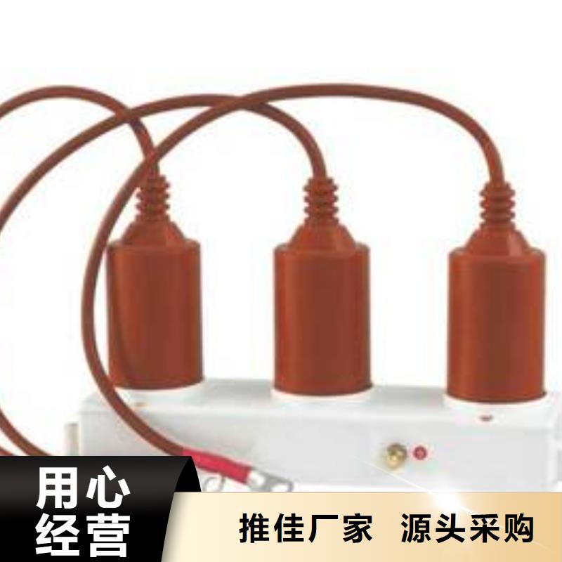 ＿过电压保护器(组合式避雷器)TBP-B-42/400W1