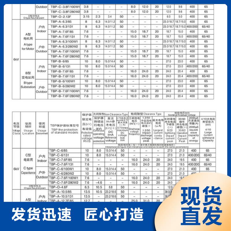 〖过电压保护器〗TBP-A-10.5/131工厂直销