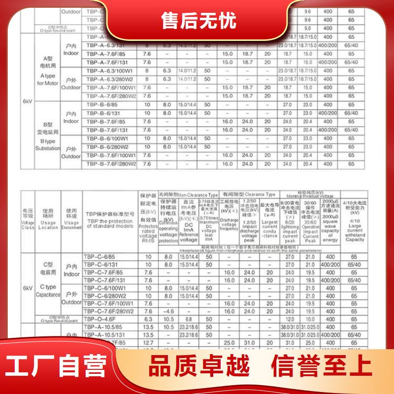 保护器(组合式避雷器)TBP-C-6.3/131-J