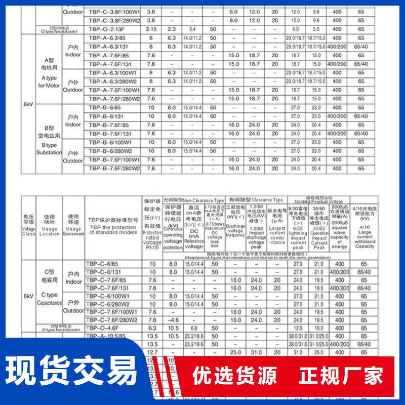 【羿振电力牌】过电压保护器TBP-B-42F/400W