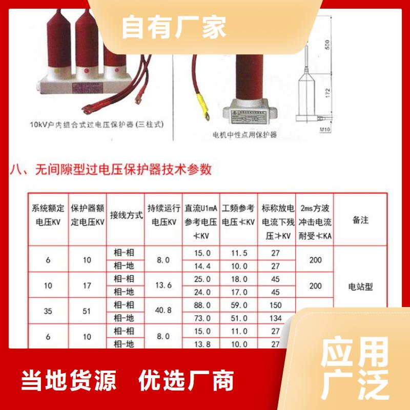 保护器(组合式避雷器)RSB-C/F-6.3