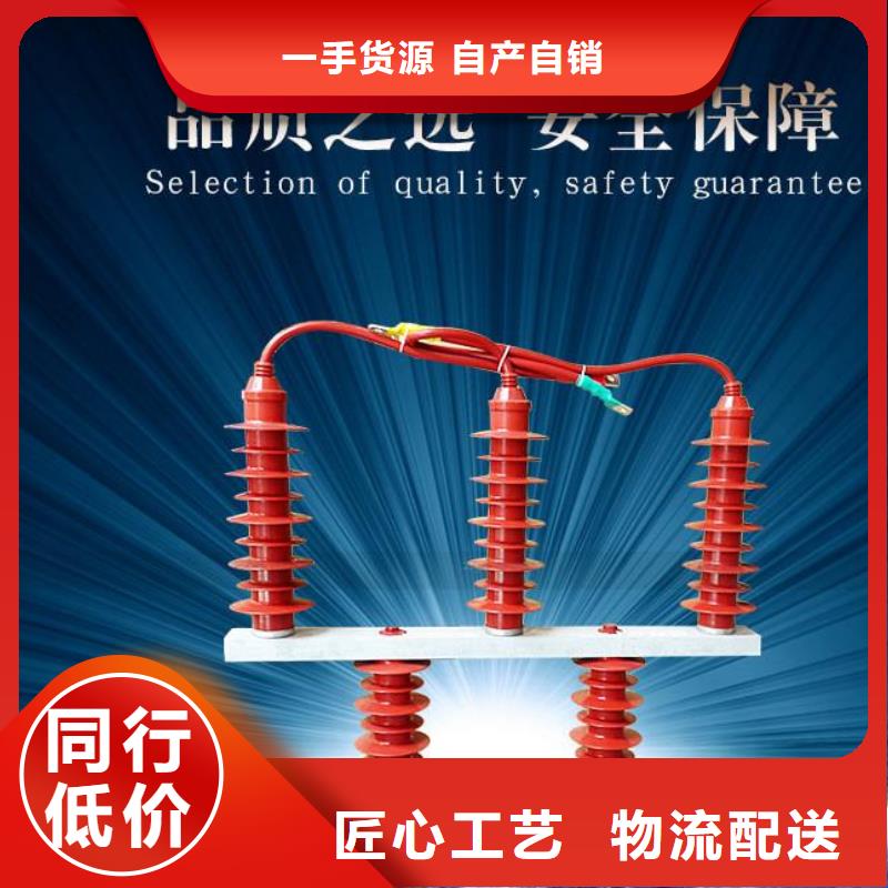 过电压保护器(组合式避雷器)YH2.5CD-3.8/9.5*3.8/9.5