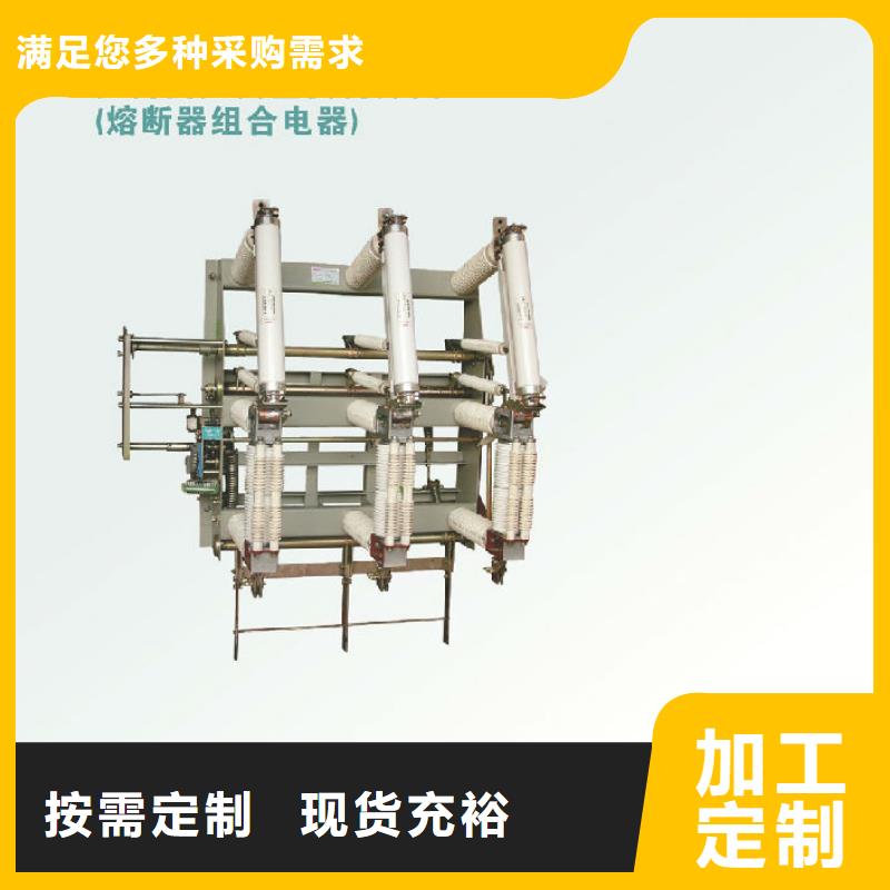 高压负荷开关FN16-10R/125-上海羿振电力设备有限公司