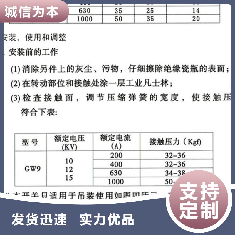 户外高压隔离开关HGW1-10KV/400A