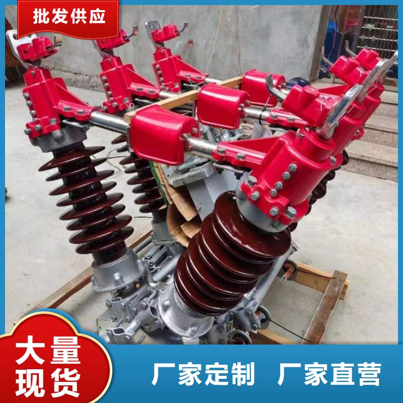 户外高压隔离开关HGW1-10KV/400A