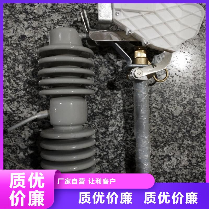 【温州】高压熔断器/RW12-10F/100A