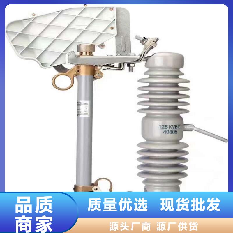 -跌落式熔断器RW10-1212KV/价格走势