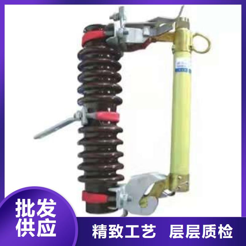 熔断器-跌落式熔断器PRW12-12F/200A