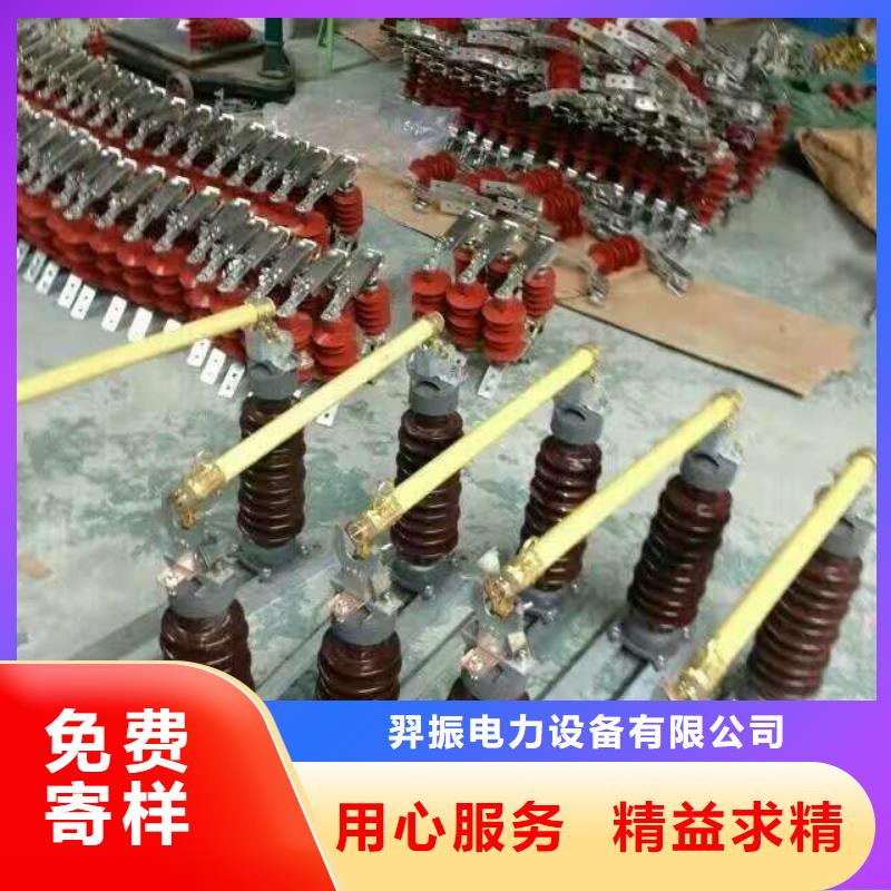 【高压熔断器】HPRW12-12/100A浙江羿振电气有限公司