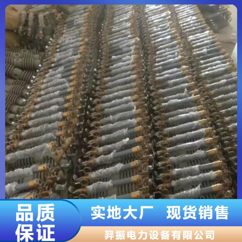 跌落式熔断器RW12-10KV-100A-上海羿振电力设备有限公司