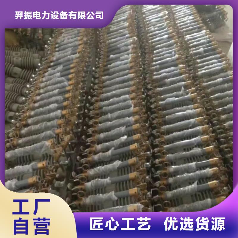 氧化锌避雷器Y5WT5-100/290S生产厂家浙江羿振电气有限公司