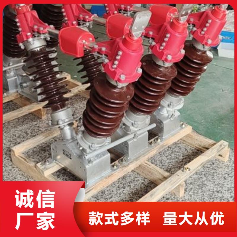 跌落式熔断器RW10-12KV/100