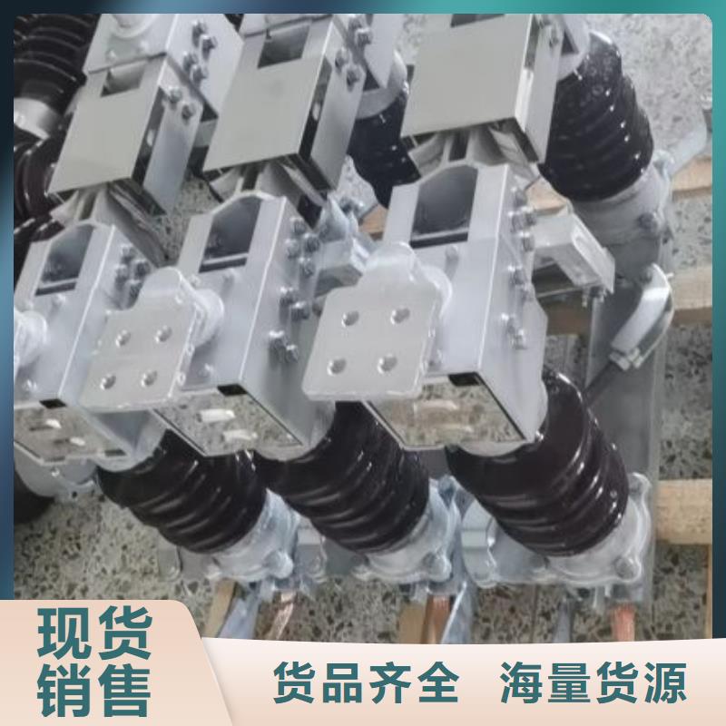 高压熔断器-RW12-24KV/100A【浙江羿振电气有限公司】