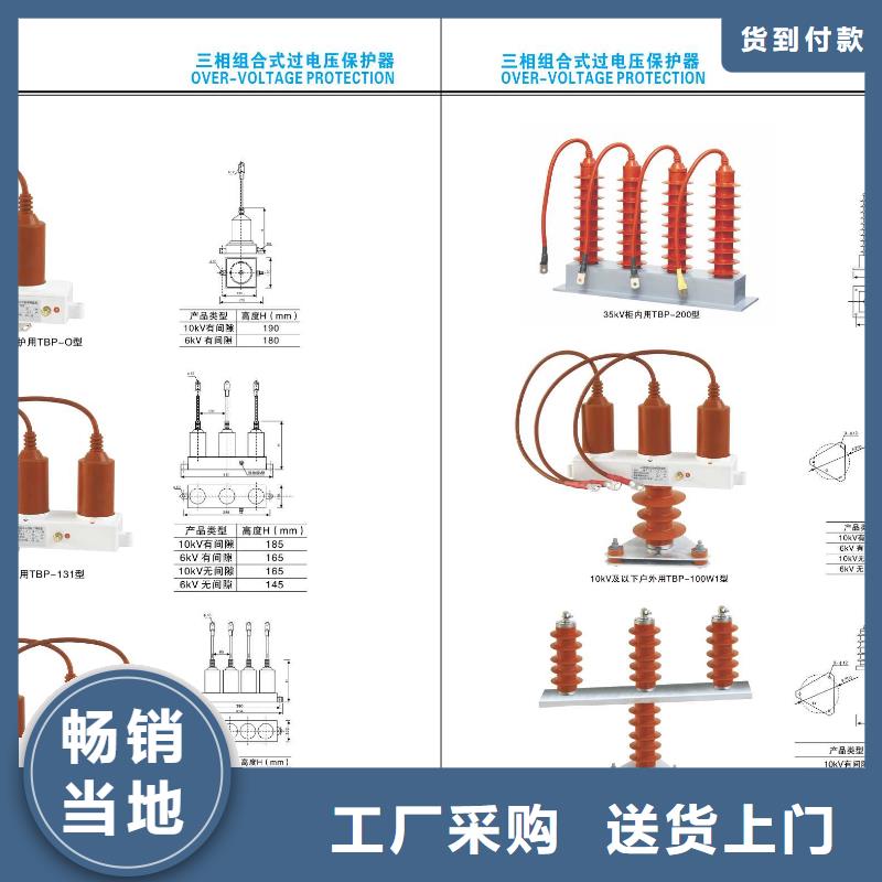 〖氧化锌避雷器〗YH10W1-96/232W【浙江羿振电气有限公司】