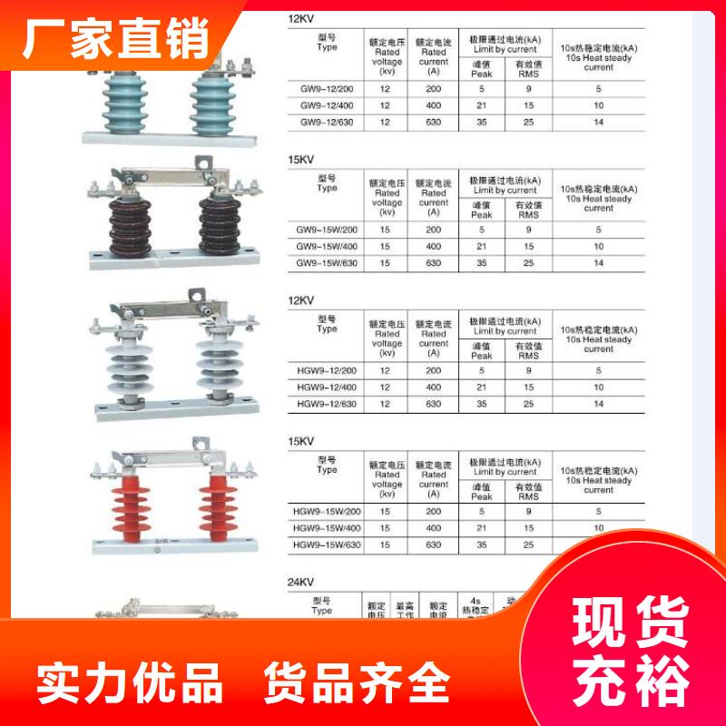 ZS-35/400_支柱绝缘子【浙江羿振电气有限公司】