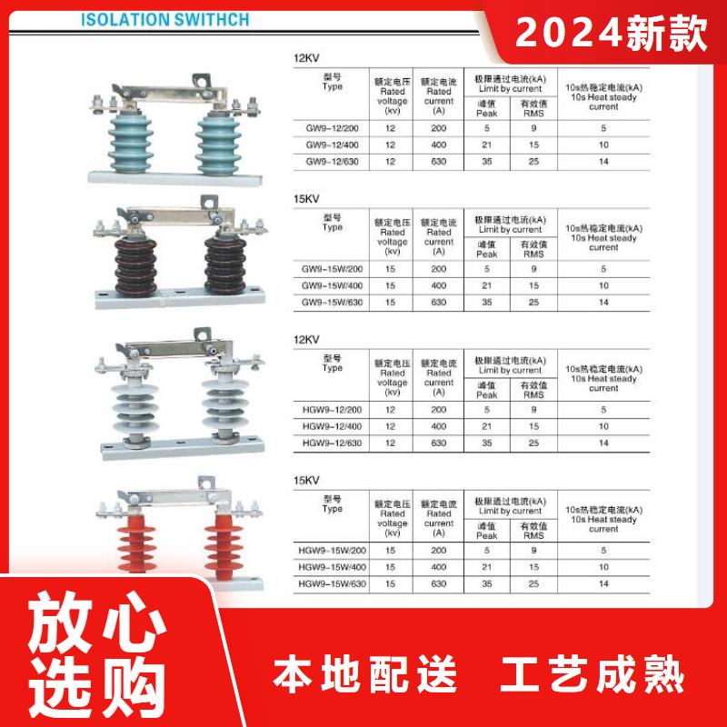 ZSW2-110/850_支持绝缘子【浙江羿振电气有限公司】