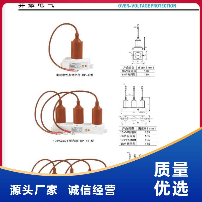 -高压熔断器RWCP12-100-12.5