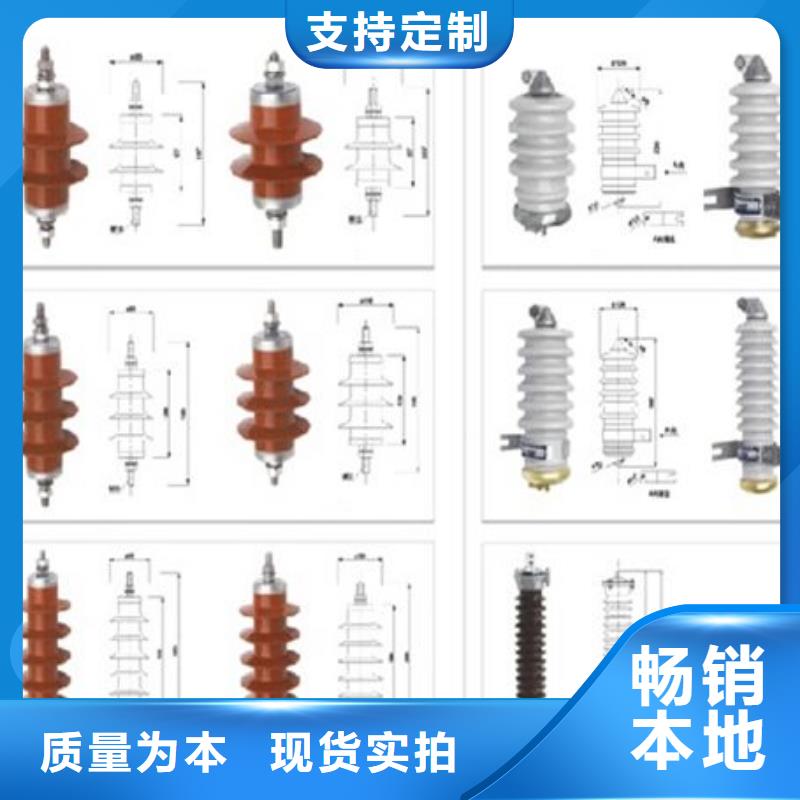 【羿振电气】Y10W5-116/302