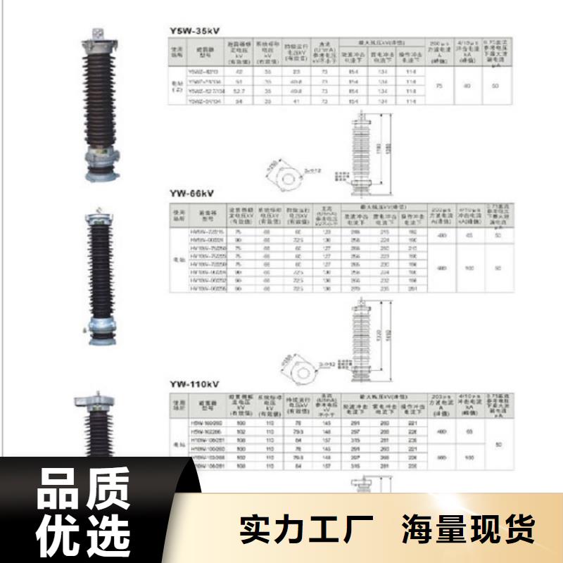 ZSW1-35/800_支柱绝缘子