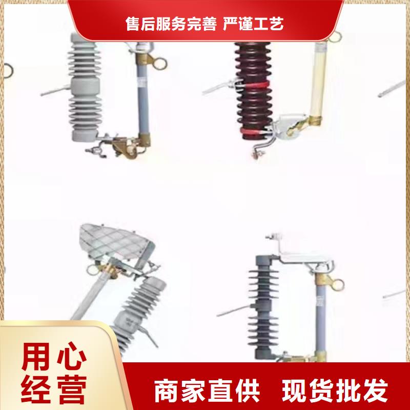 氧化锌避雷器【羿振电气】FS2-15KV阀式避雷器