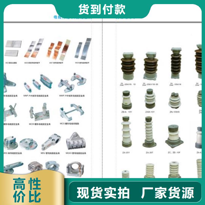 氧化锌避雷器【羿振电气】FS2-15KV阀式避雷器