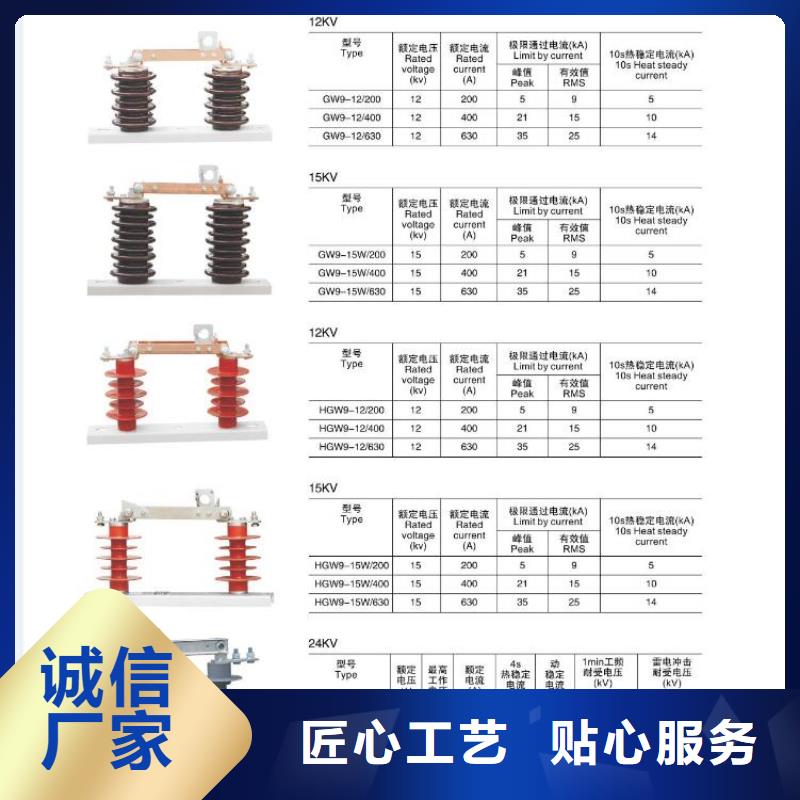 跌落式熔断器RW10-10F-100A