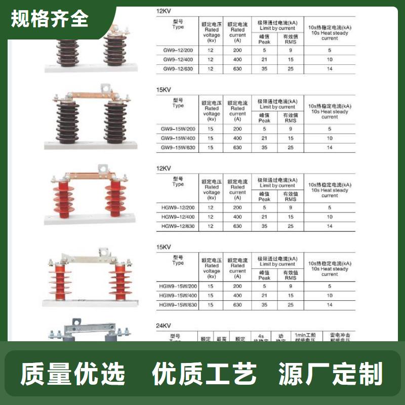 绝缘子ZSW2-10/400