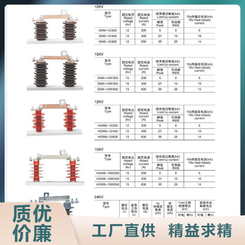 HGW9-12KV/630高压隔离开关