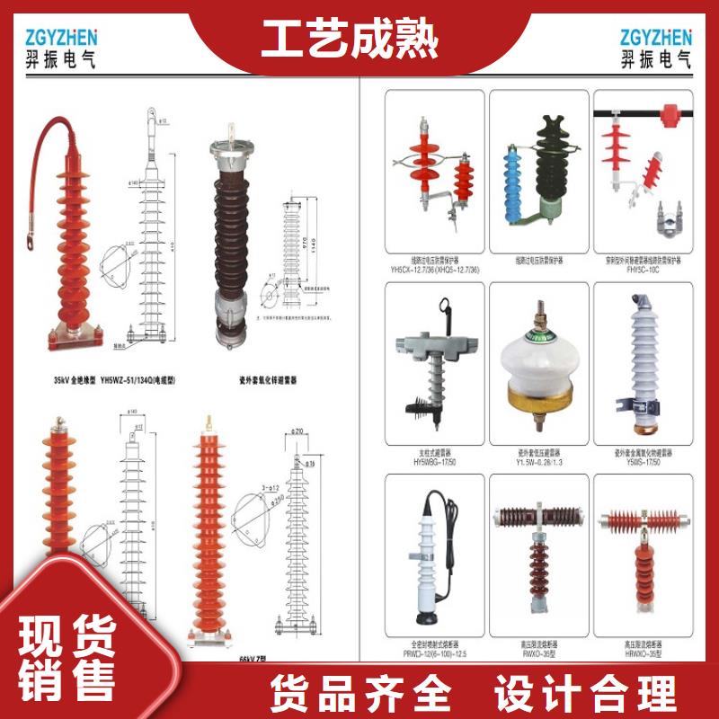 _避雷器Y10W1-216/562【羿振电力设备】